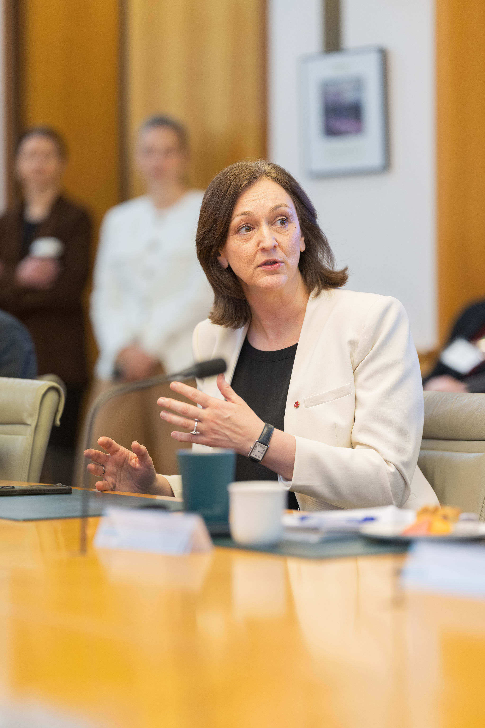 Parliamentary Group meeting